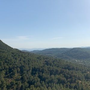 Meet your Posher, Shira